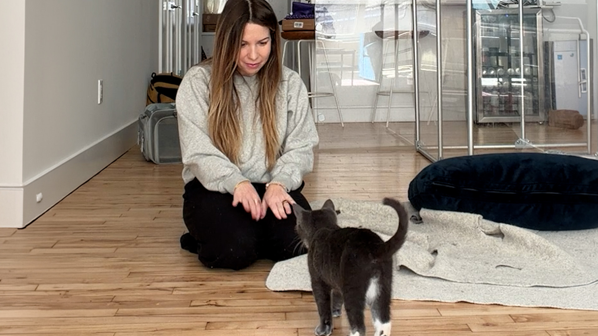 She sat with a terrified kitten for hours to win over his trust