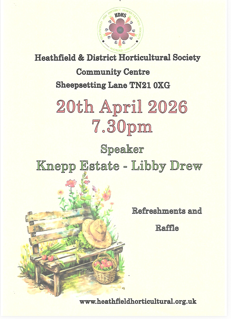 Heathfield Town news