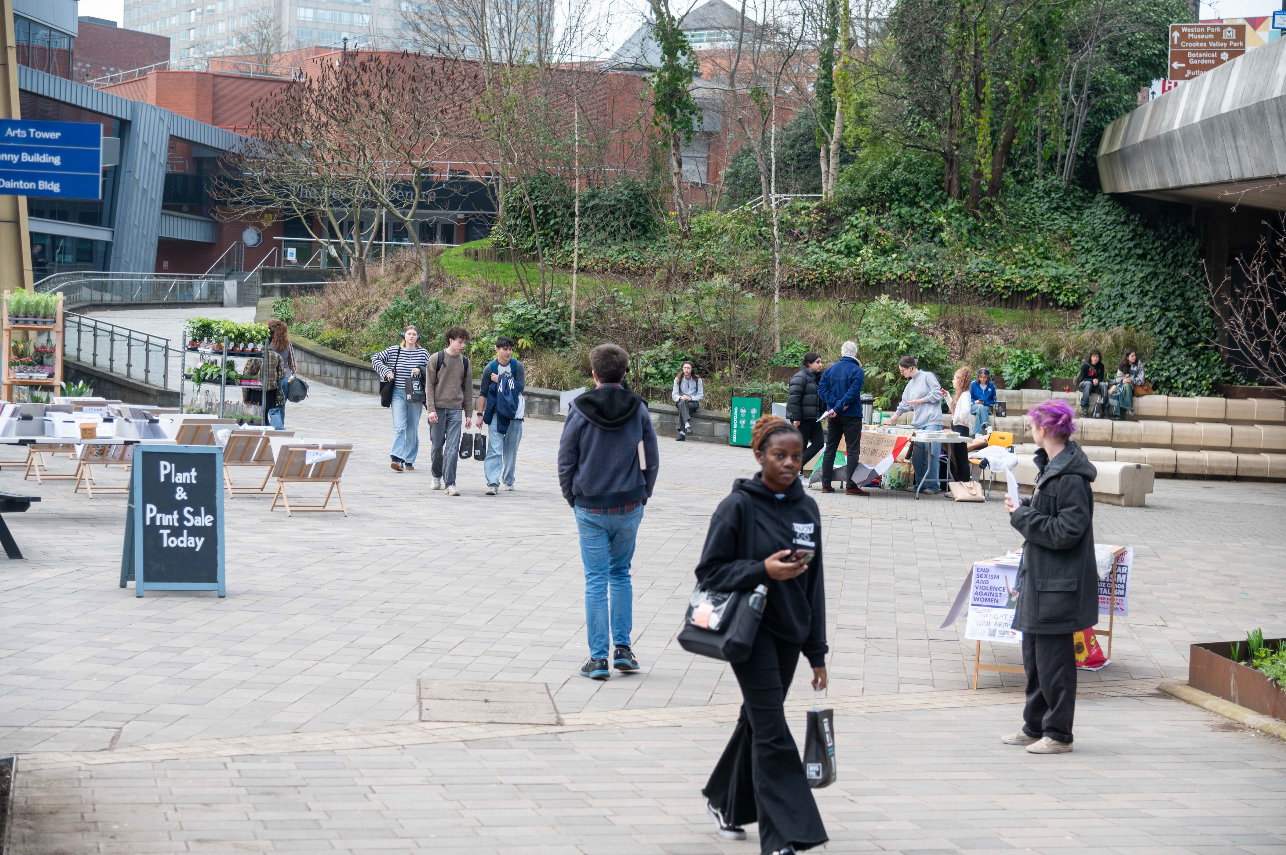 Drop in Sheffield student numbers as businesses hit and rents fall