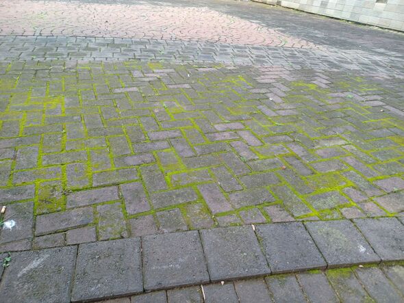 Patio algae stains will disappear in 5 minutes when cleaned with best ...
