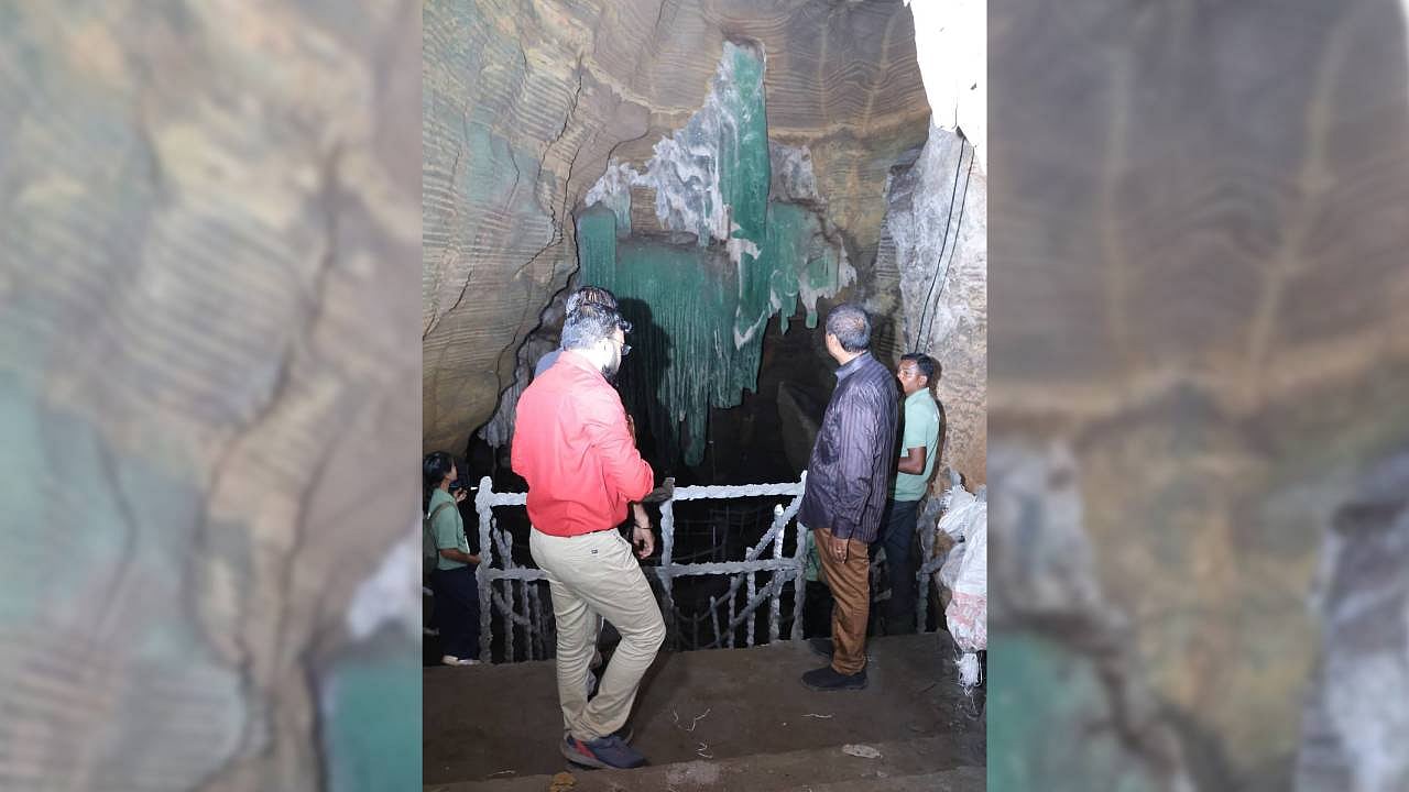 MoEF&CC seeks inquiry into alleged illegal eco-tourism at Chhattisgarh ...