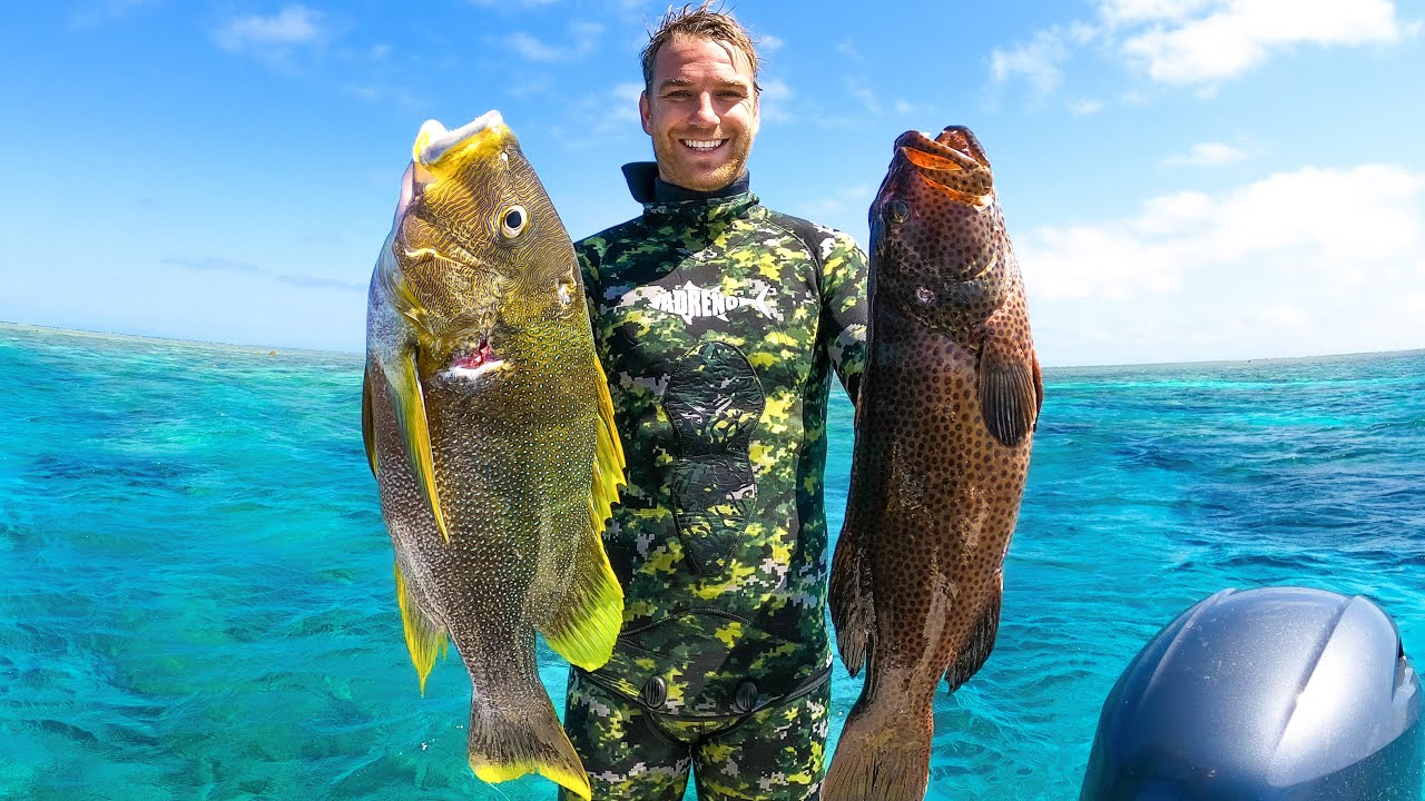 Lost on a reef where every dive reveals something new