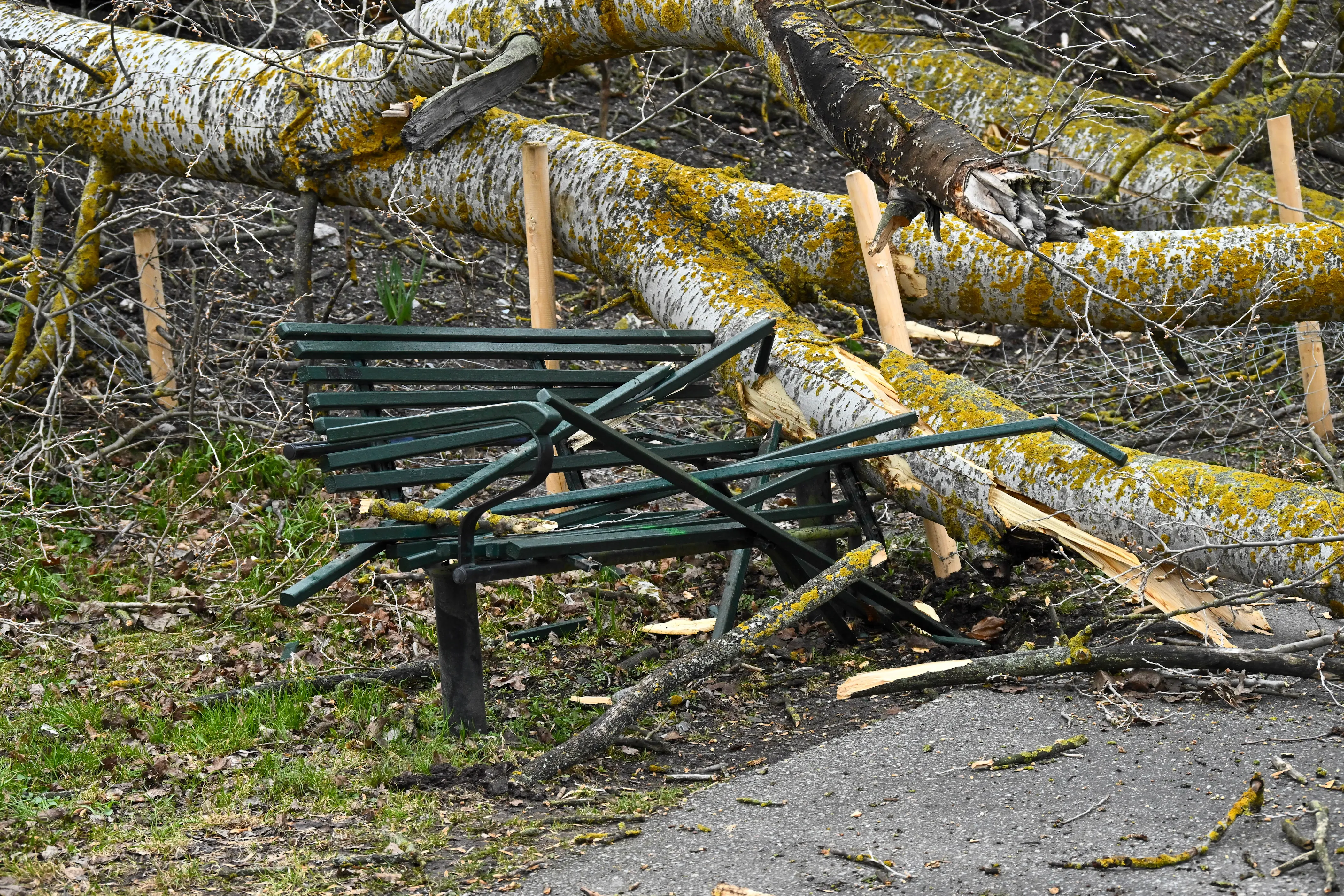 750 har ringet ind: 'Vi har ekstraordinært travlt i dag'