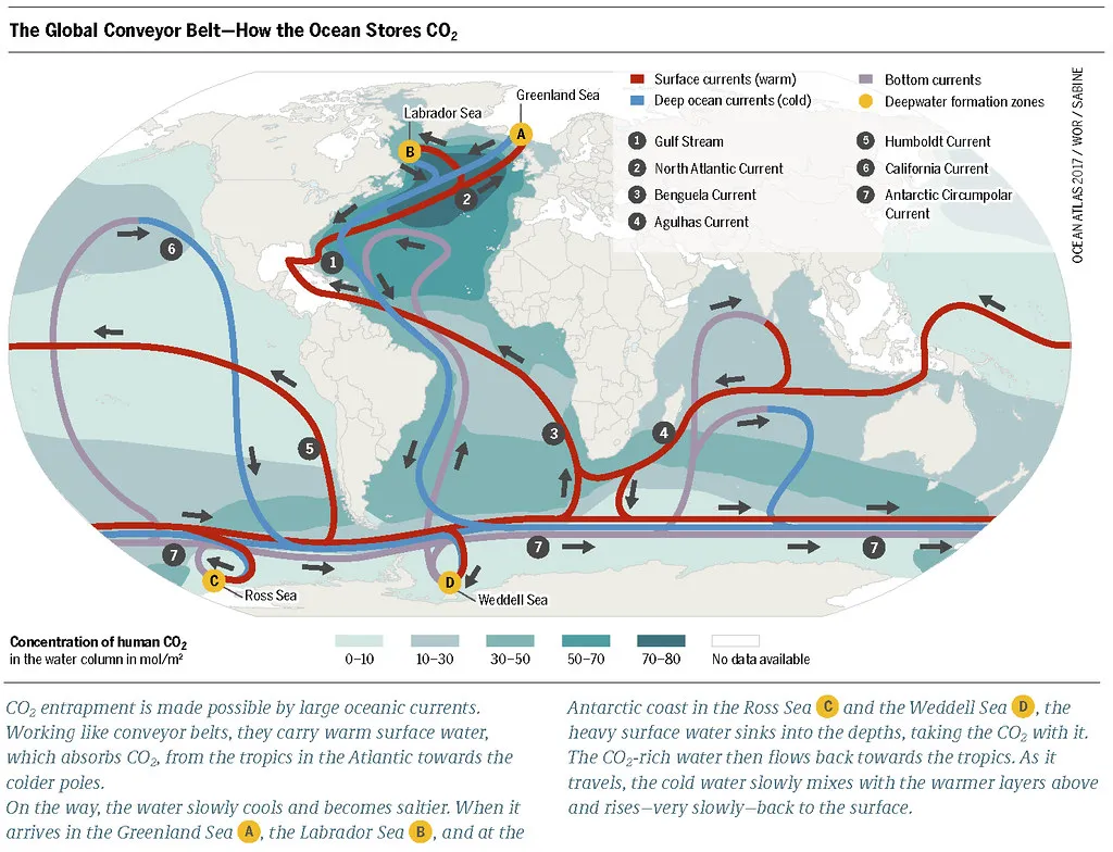 The great reset of the Gulf Stream: Why Europe could face a deep freeze