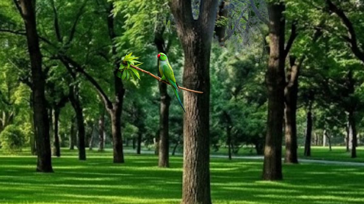 Spot the owl in this mimic natural optical illusion