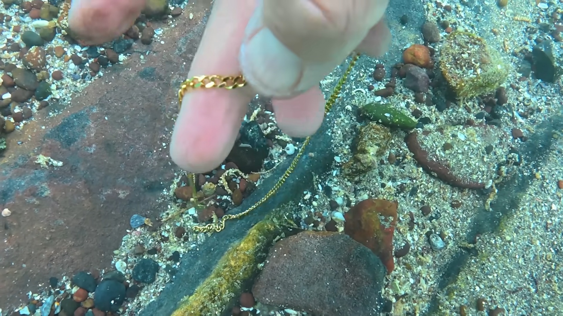 The ring was still fresh in the water - and the owner was closer than ...