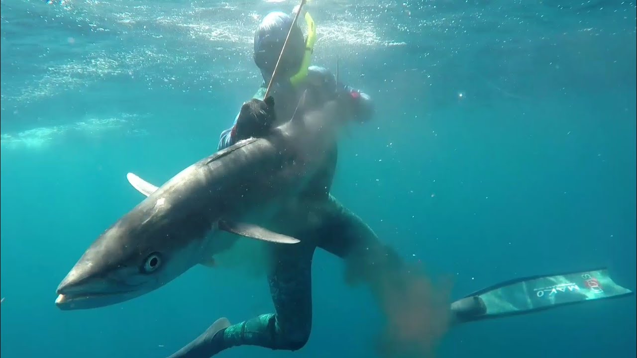 Why hunting red snapper in deep water is a different game