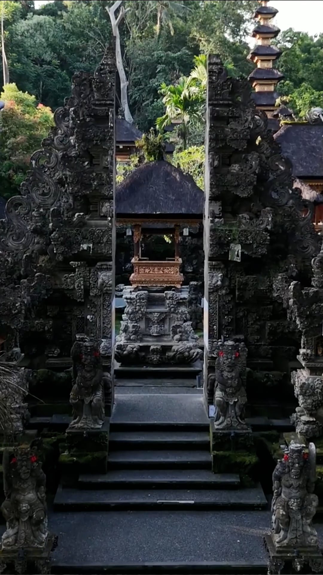 Ubud, Bali: Drone reveals one of Indonesia's most famous landscapes