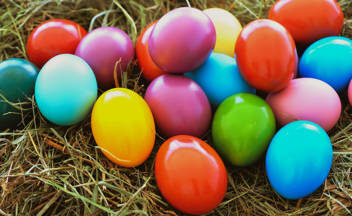 Possible child human remains found in California park during family ...