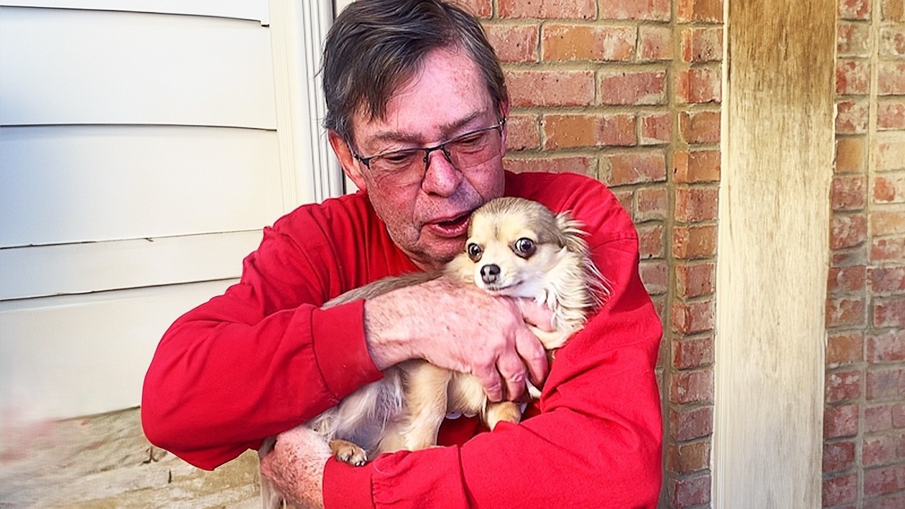 This tiny dog chose grandpa - and never let him go