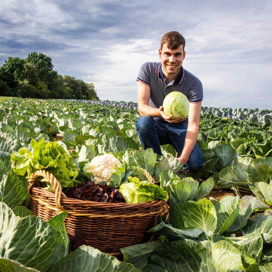 Wegen Diebstahl vorerst kein Selbsterntefeld mehr