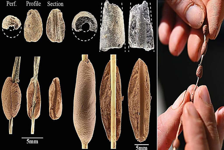15,000-year-old clay beads show children helped craft some of the first ...