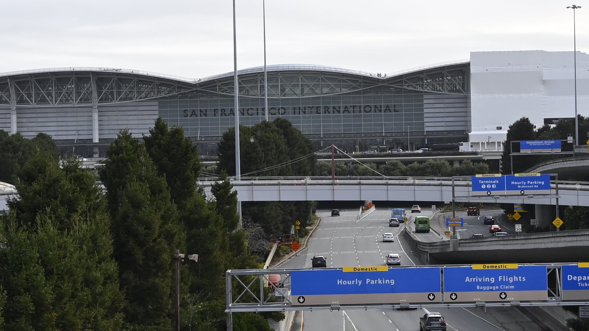 Tourist vanishes after meeting man with flowers at airport<br>