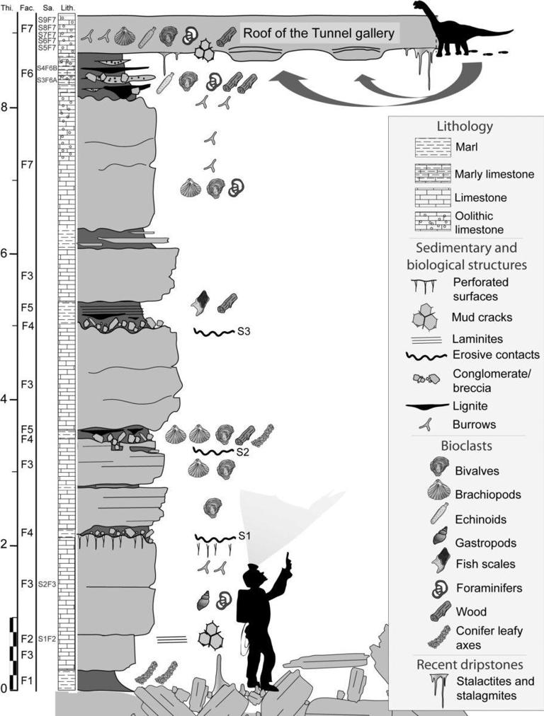 Scientists discovered giant dinosaur footprints on a cave ceiling 500 ...
