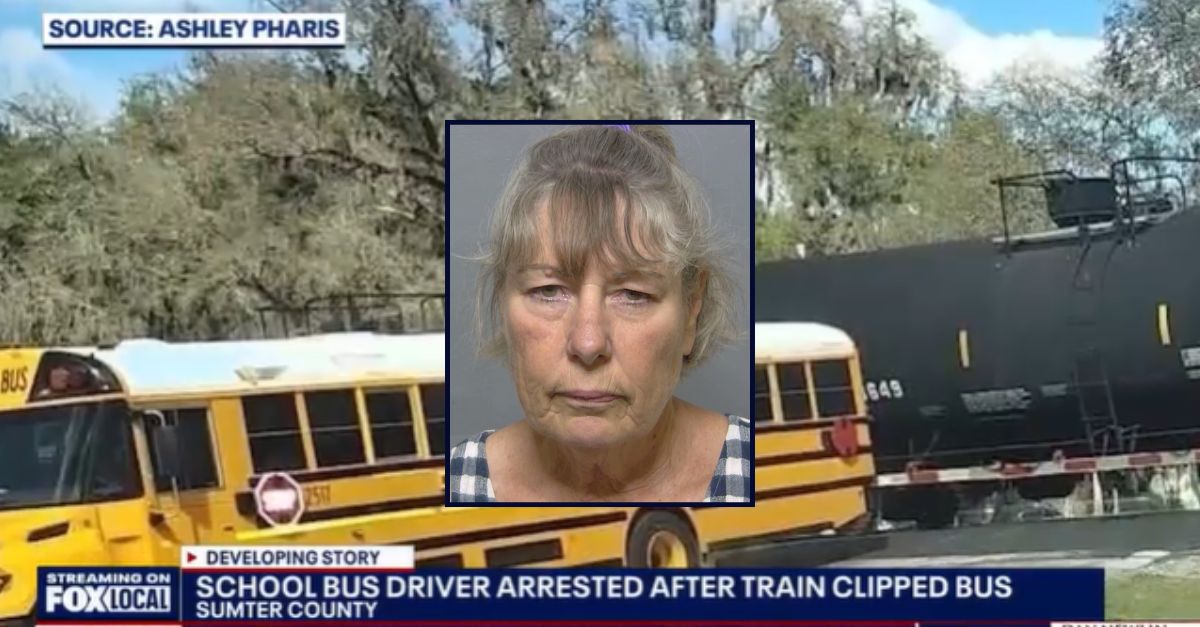 'Not gonna stop for no train': Bus driver charged after train clips bus ...