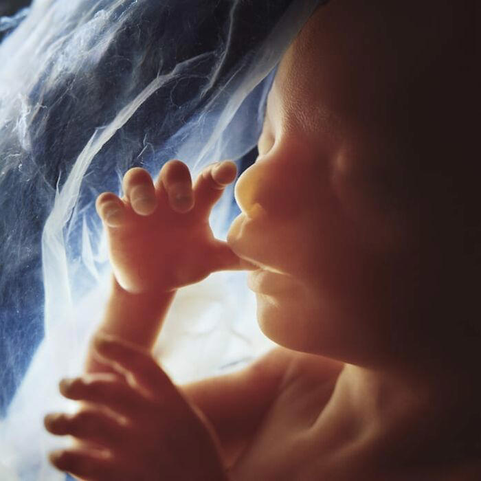 10 remarkable images offering a glimpse into the miracle of birth