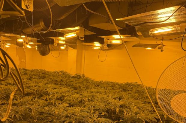 Two men arrested after police uncover £1.7m of cannabis grow at ...