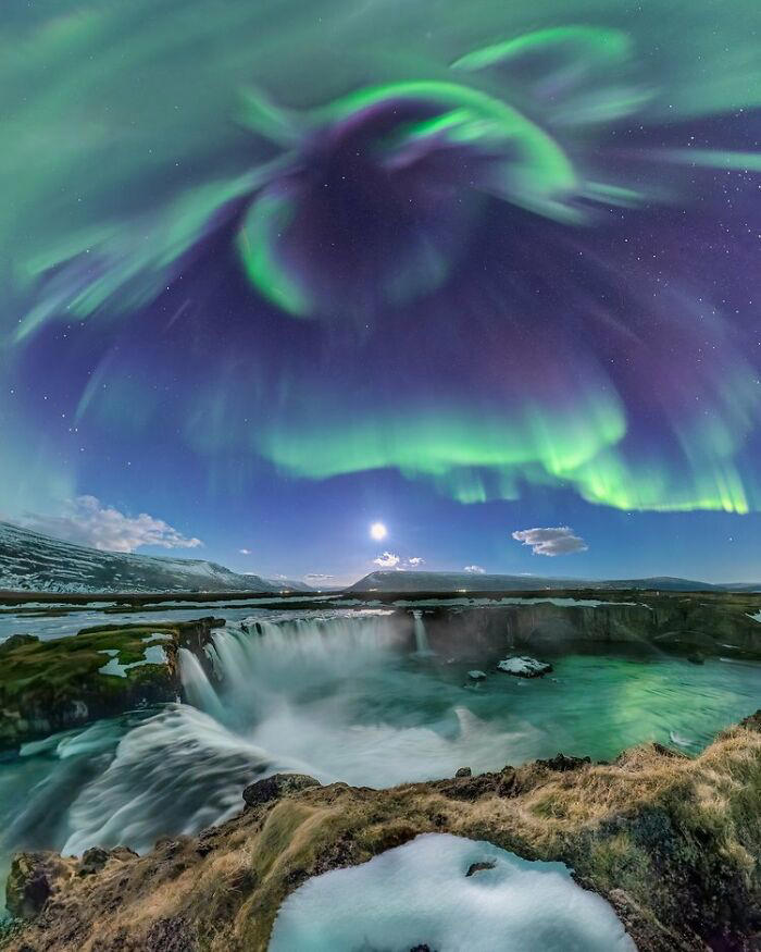 38 winners of the World Nature Photography Awards