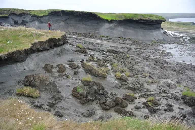 Scientists warn of a blue ocean event - why the Arctic may be ice-free ...