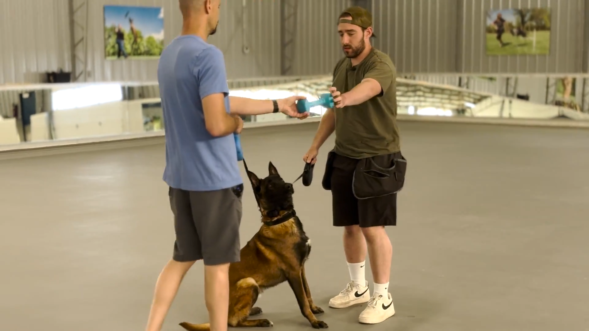 This retrieve session shows how timing and pressure can reshape a dog’s ...
