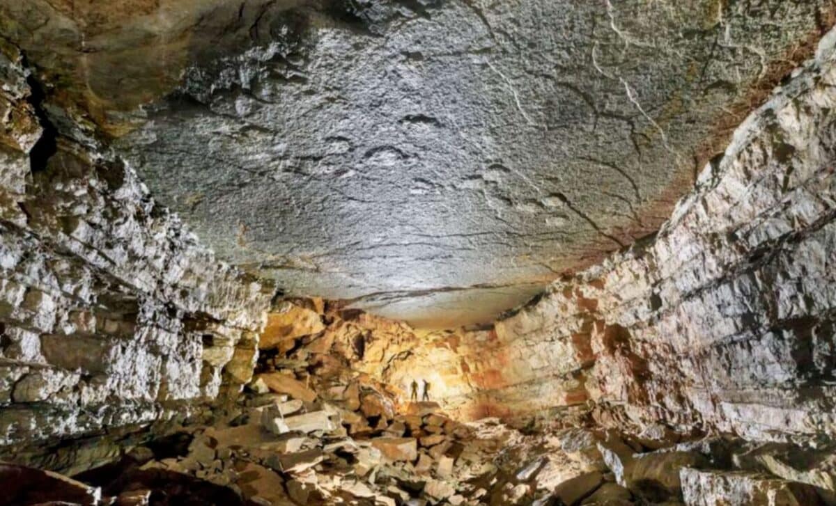 Scientists discovered giant dinosaur footprints on a cave ceiling 500 ...
