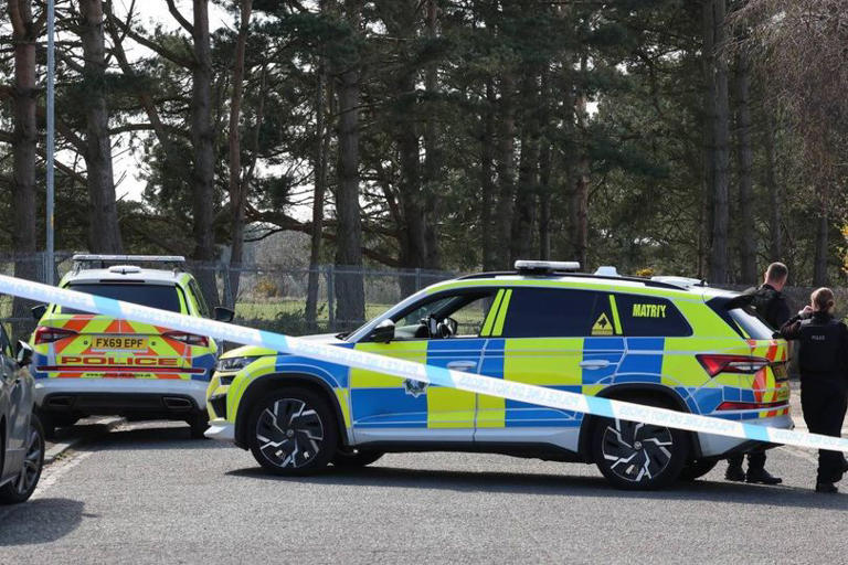 Armed police shoot dog dead after two men attacked in Hillside incident