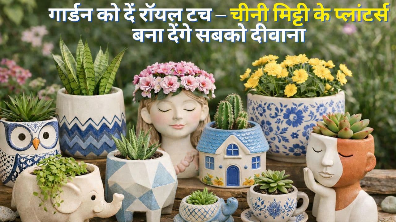 Chini mitti planters: चीनी मिट्टी के ट्रेंडी प्लांटर्स डिजाइन, गार्डन ...