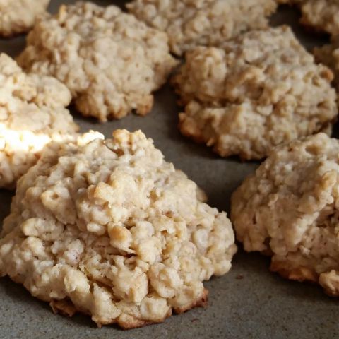 looking at a tray of a bunch of oatmeal cookies