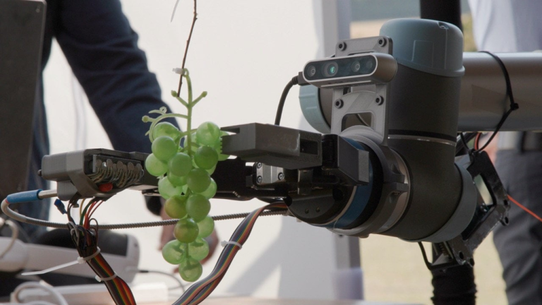AI-powered grape ripeness detector aims revolutionize wine industry