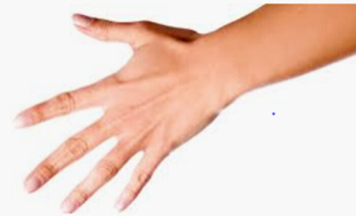 There Are No Muscles In Your Fingers: 58 Fun Facts For Your Lunch Break