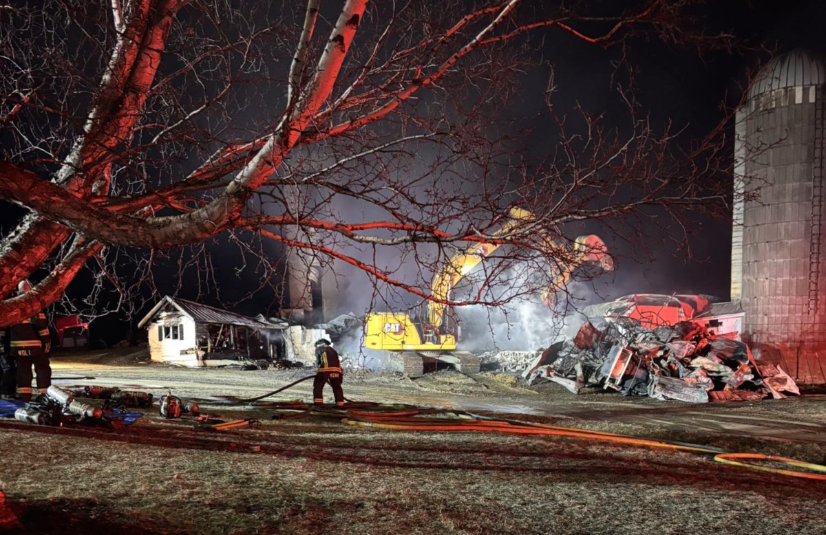 Dogs, farm animals die in 'catastrophic' barn fire