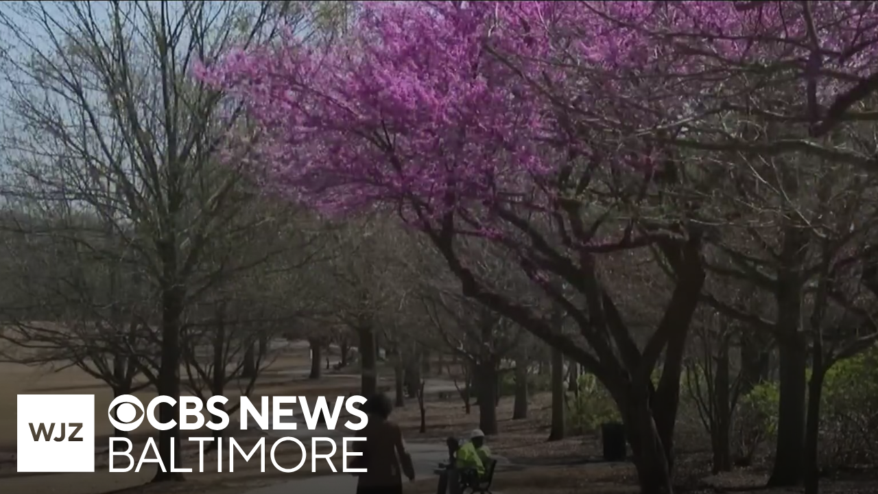 Doctors say sudden temperatures swings drive spike in allergy symptoms
