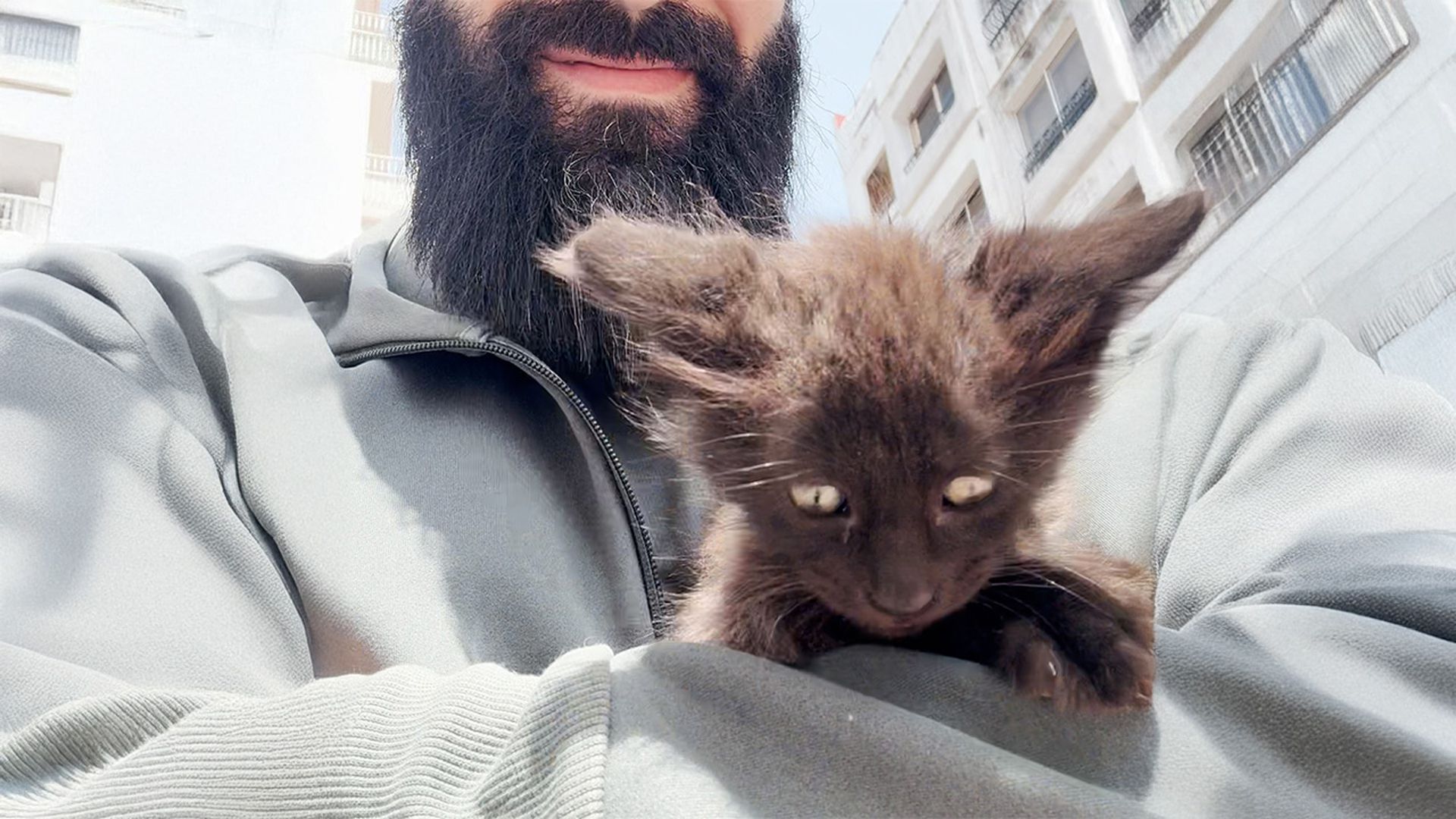 Kitten who was crying for food cuddles 24/7 now