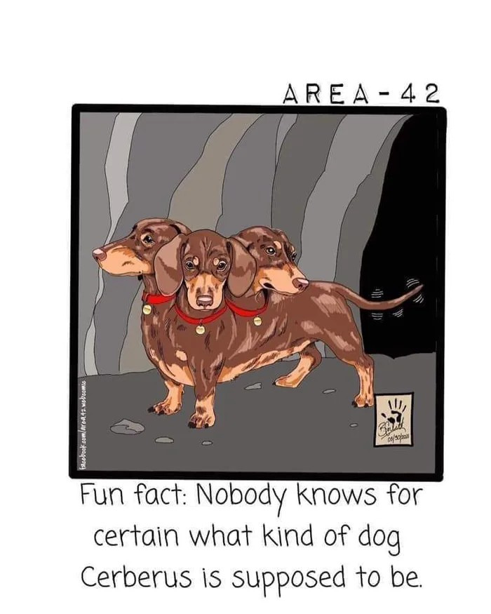 There Are No Muscles In Your Fingers: 58 Fun Facts For Your Lunch Break