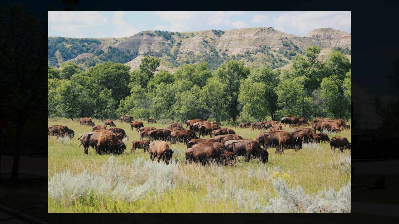 A town of 100 people in the North Dakota Badlands just became one of ...