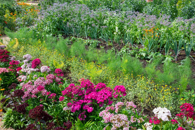 I’m a gardening expert—here’s what I never spend money on for my garden