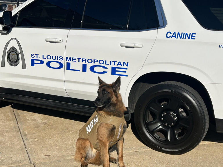 SLMPD K9 officer receives body armor