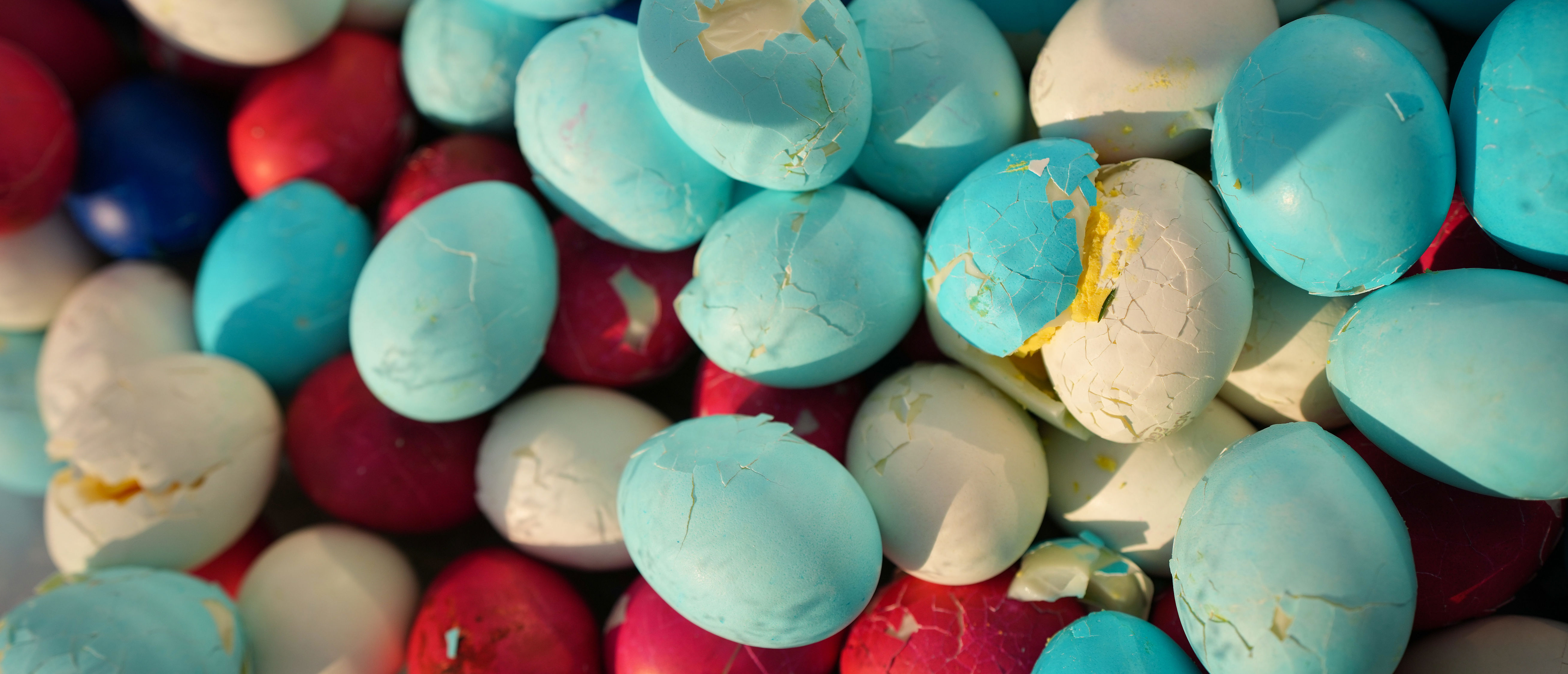 Family stumbles upon human skull during local Easter egg hunt, police say