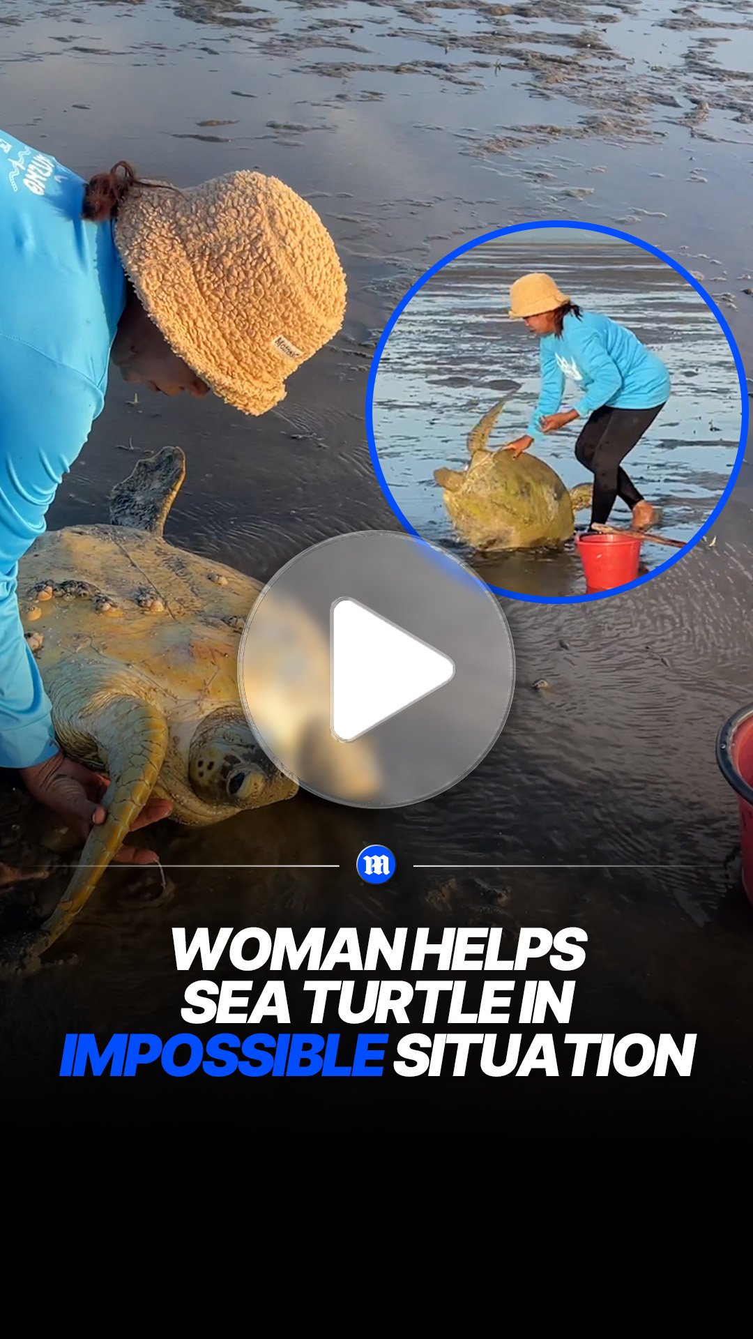Woman uses quick thinking to help stranded sea turtle
