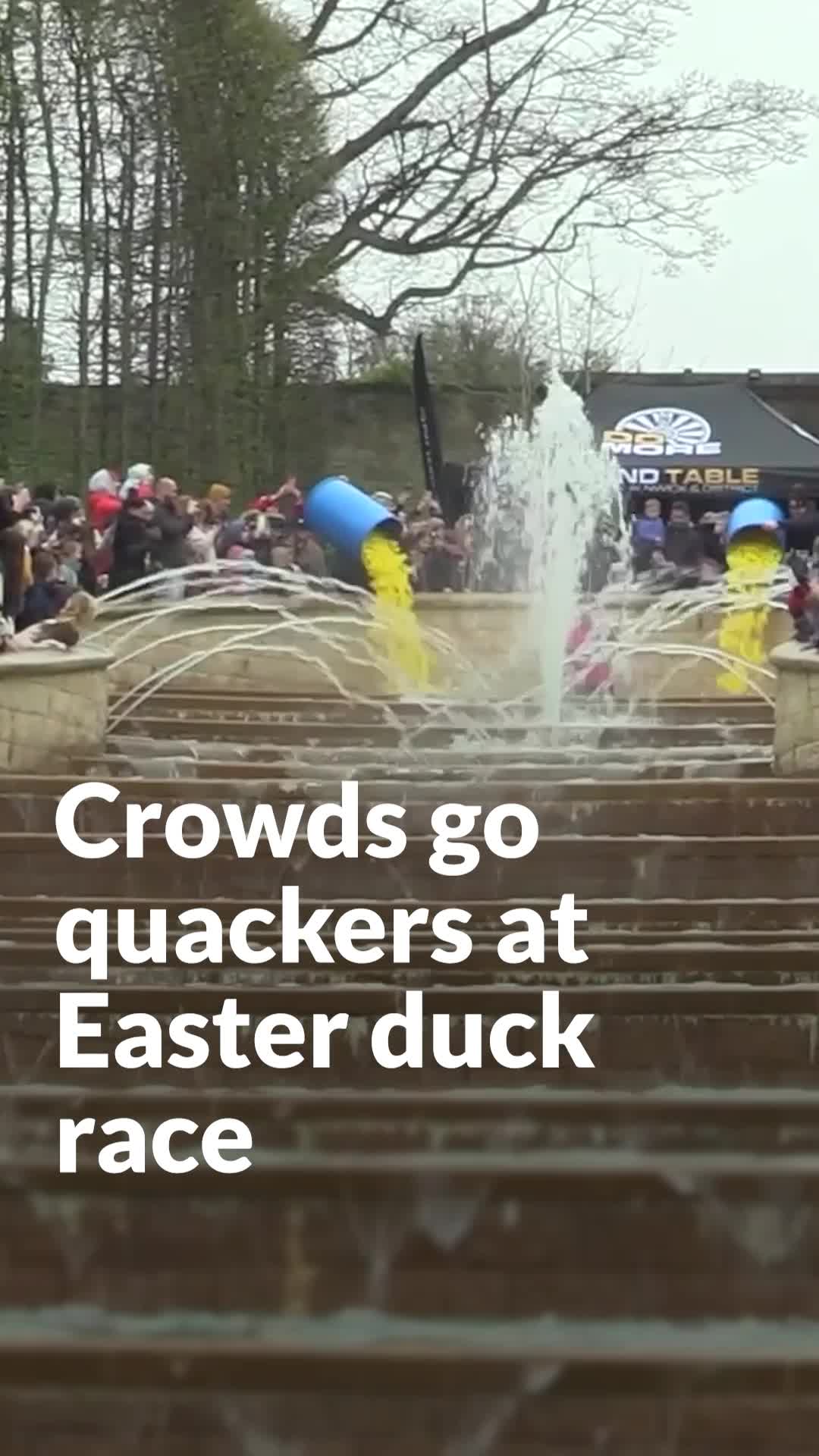 Crowds go quackers at Easter duck race