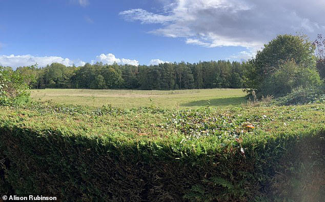 Development that was rejected 3 times by council and thrown out by High ...