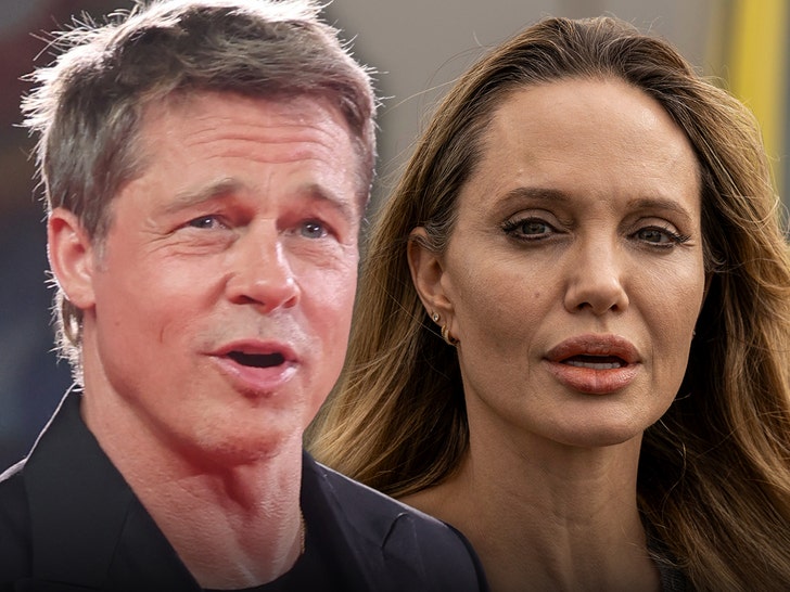 brad-pitt-fights-angelina-jolie-s-push-to-delay-164m-winery-trial-date