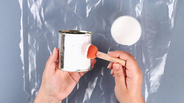 The simply genius way to turn empty soup cans into eco-friendly garden ...