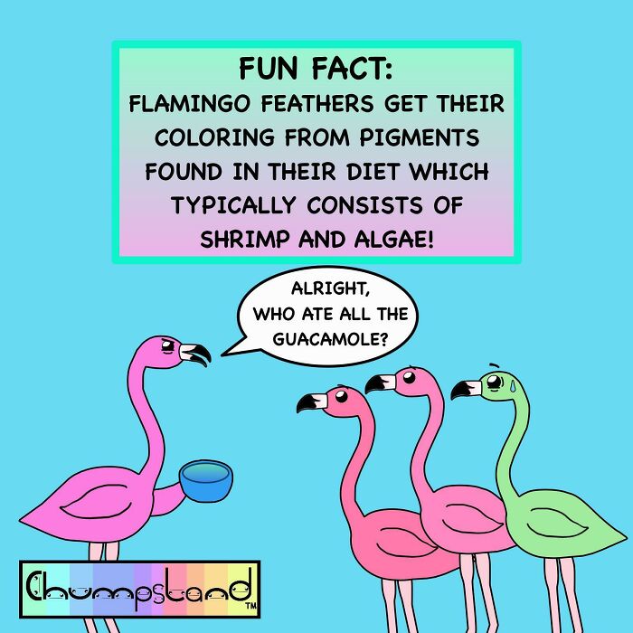 There Are No Muscles In Your Fingers: 58 Fun Facts For Your Lunch Break