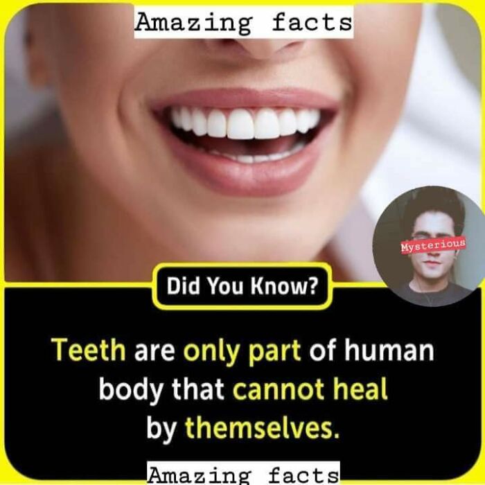 There Are No Muscles In Your Fingers: 58 Fun Facts For Your Lunch Break