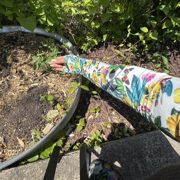 You can’t garden without the right pair of gloves — these are the pairs ...