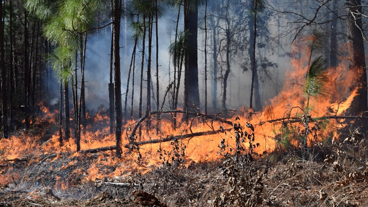 Red flag fire alert lifted for 25 South Carolina counties