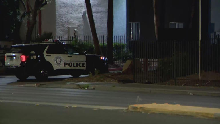 Police: Road rage led to fatal shooting in east Las Vegas neighborhood