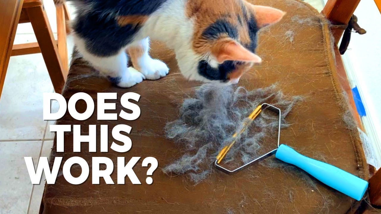 Does it work? Uproot Clean pet hair/fur remover review