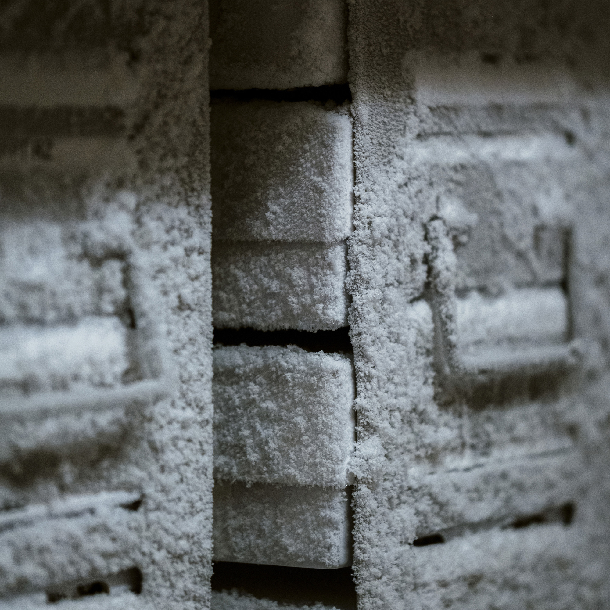 Shattered science: The research lost as Trump targets NIH funding